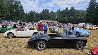 Cars On Field