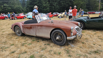 Cars On Field